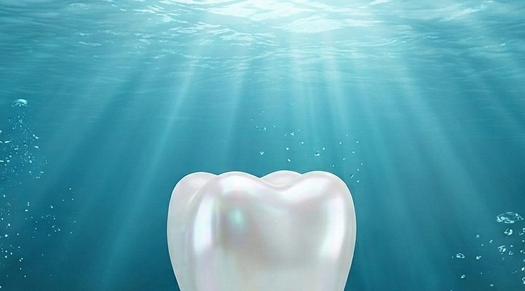 Dental studio Apex